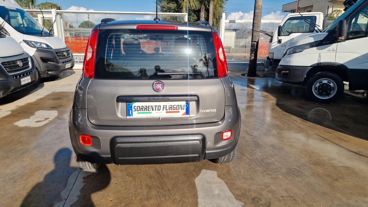 Fiat Panda 1.0 FireFly 70 CV Hybrid City Cross