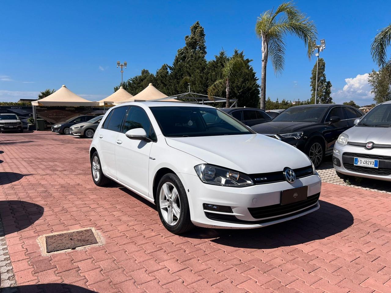 Volkswagen Golf 1.4 TGI DSG 5p. Executive 4 Free BlueMotion