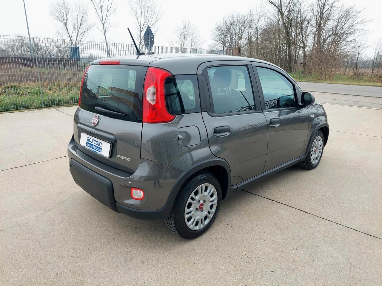 FIAT Panda 1.0 FireFly S&S Hybrid 5 posti - 2023