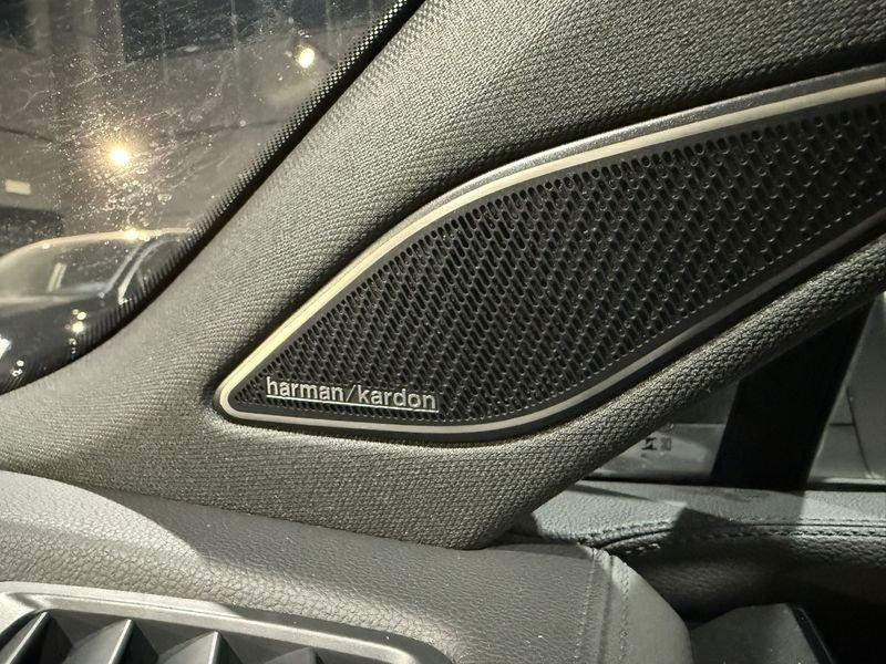 Volkswagen Tiguan Tiguan 2.0 TDI 193 CV DSG 4MOTION R-Line Plus