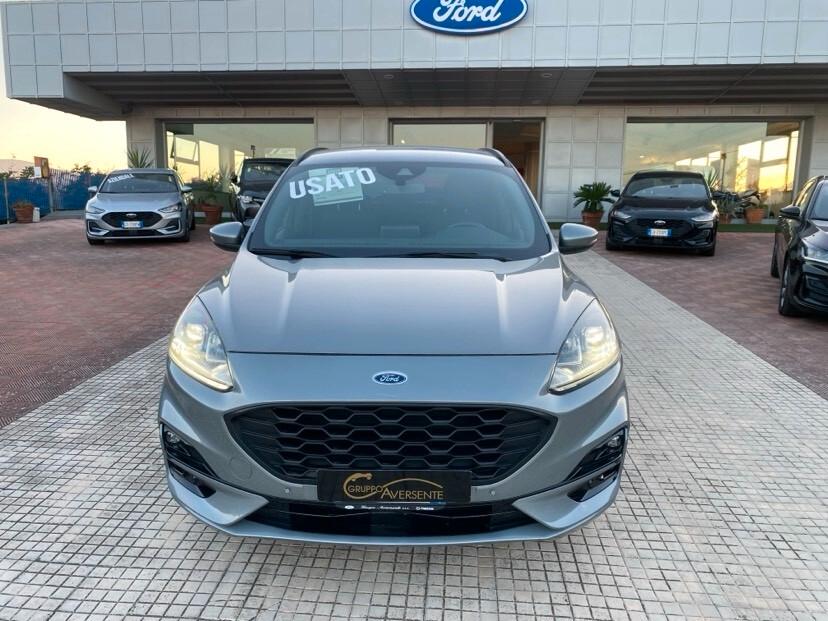 Ford Kuga 1.5 EcoBlue 120 CV 2WD ST-Line