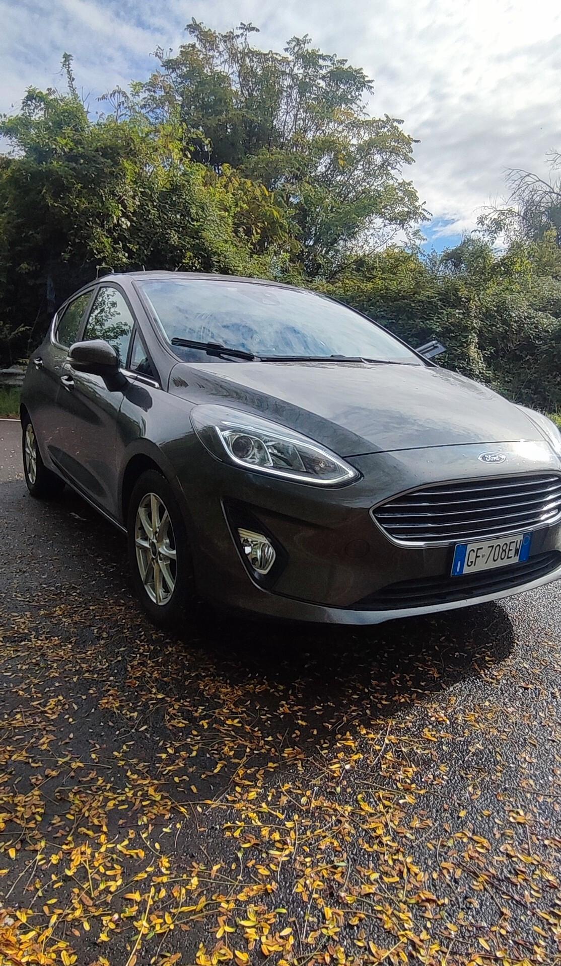 Ford Fiesta 1.0 benzina Ecoboost Hybrid 125 CV 5 porte/autocarro 4 posti