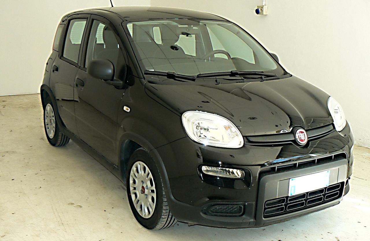 Fiat Panda 1.0 FireFly S&S Hybrid - n101082