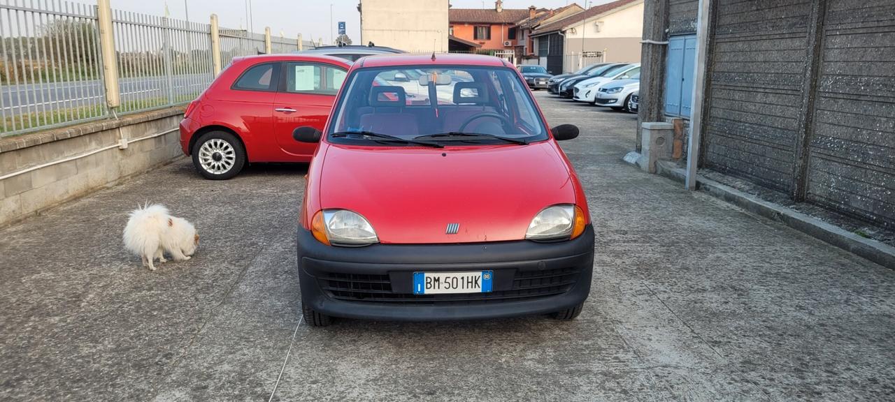 Fiat Seicento 900i cat Young
