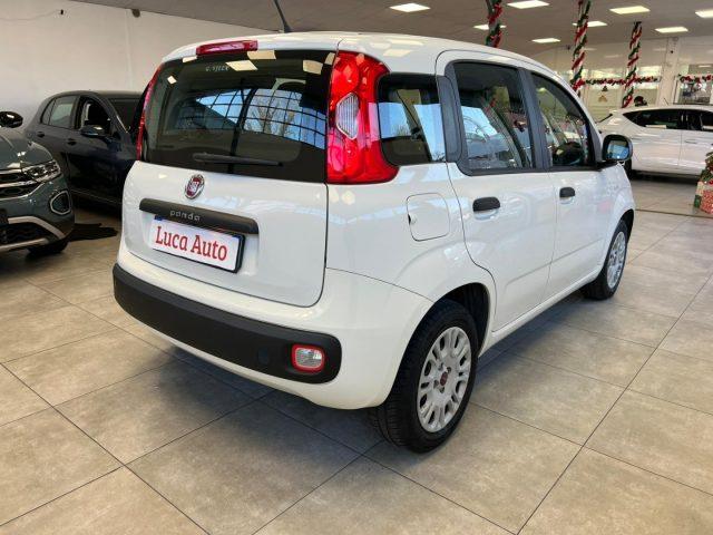 FIAT Panda 1.2 69CV *DISTRIB. ESEGUITA*UNICO PROP.*TAGLIANDI*