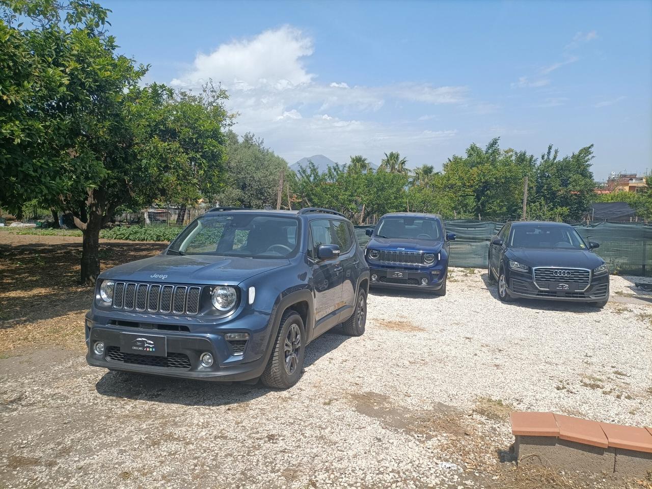 Jeep Renegade 1.6 Mjt 130 CV Longitude