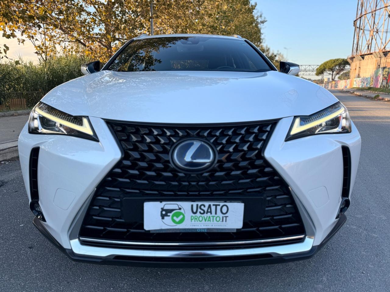 Lexus UX 250 184cv Hybrid Tagliandi e Garanzia LEXUS