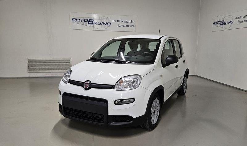 FIAT Panda 1.0 FireFly S&S Hybrid con Fidelity Free
