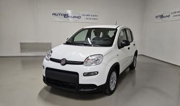 FIAT Panda 1.0 FireFly S&S Hybrid con Fidelity Free