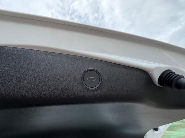 TESLA Model 3 PERFORMANCE NAVI+PELLE+PINZE ROSSE+SPOILER