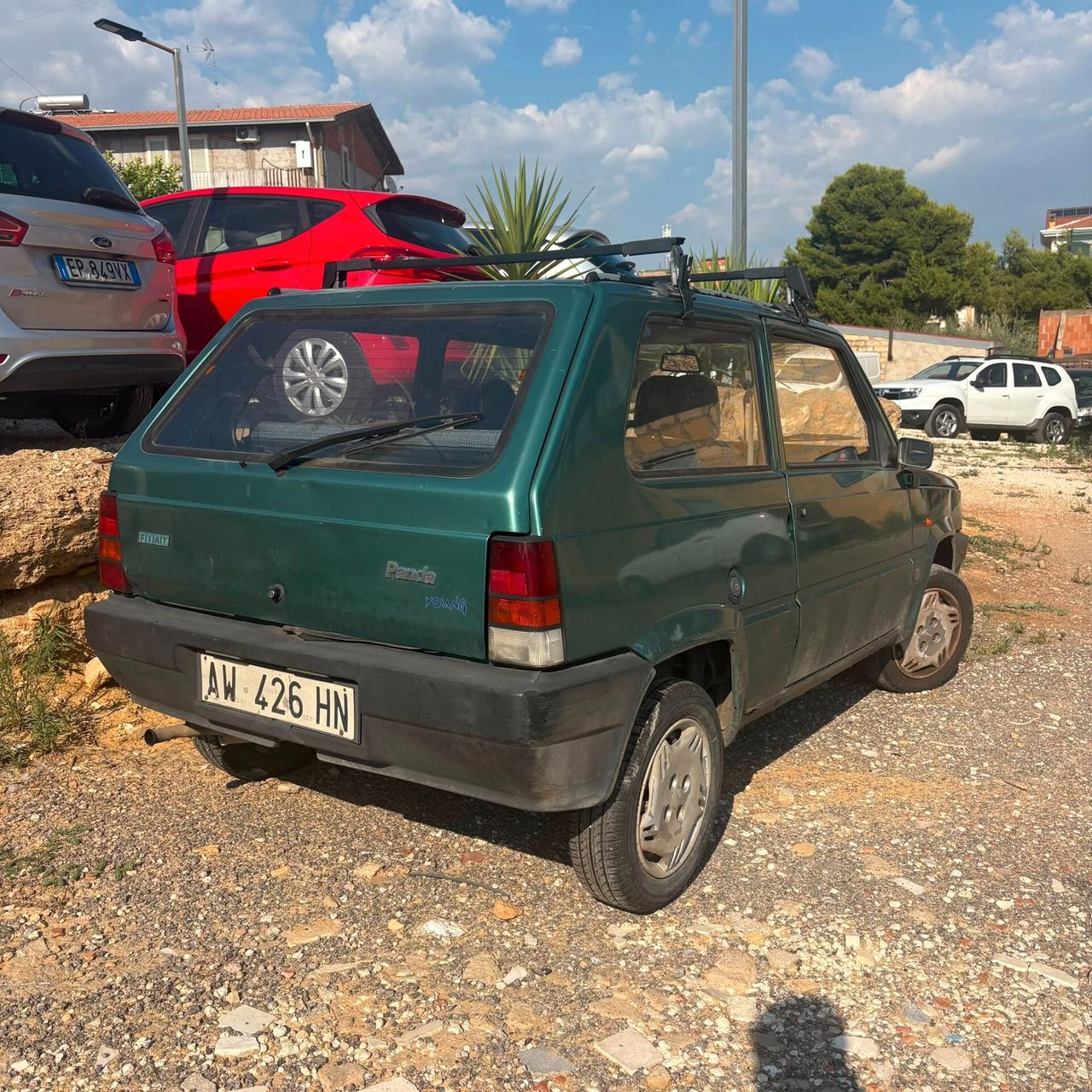 Fiat Panda 900 i.e. cat Young