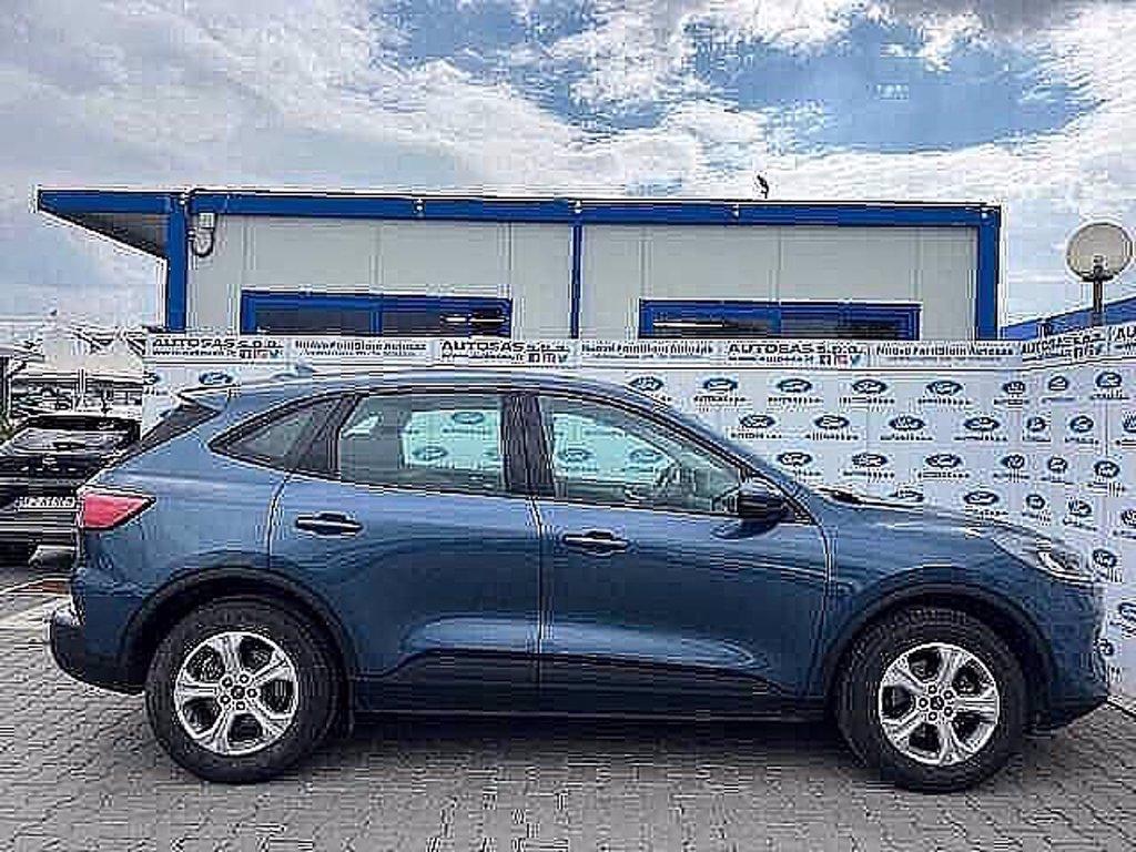 FORD Kuga 1.5 EcoBlue 120 CV 2WD Connect del 2021