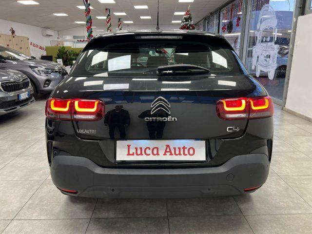 CITROEN C4 Cactus 1.6 BlueHDi 100 S&S *APPLE-ANDROID*OCCASIONE*