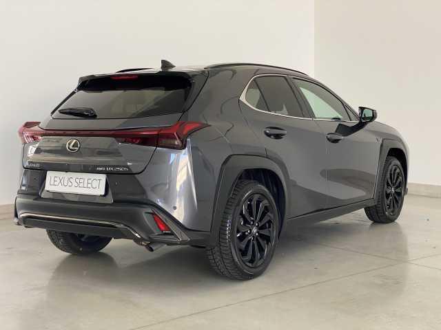 Lexus UX 250h Hybrid 4WD Design