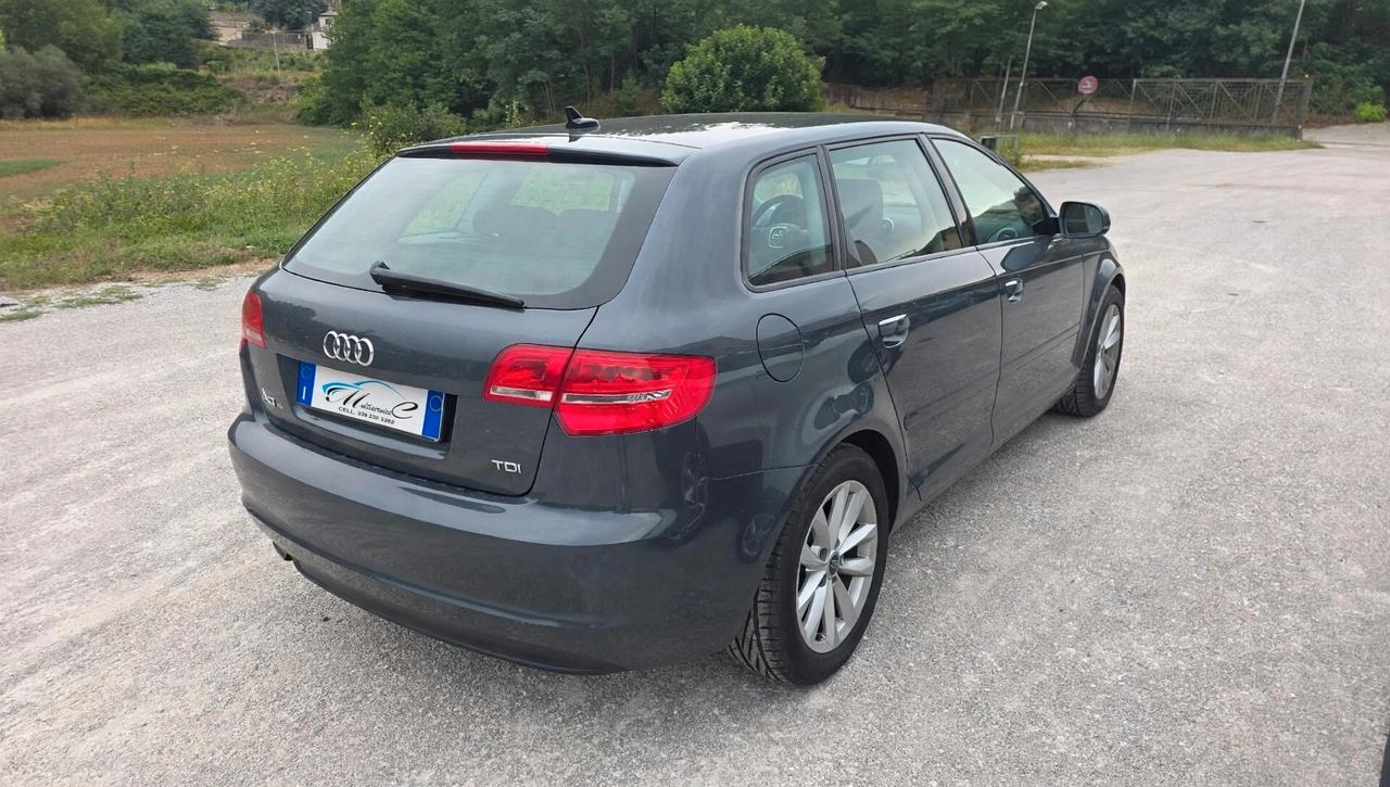 Audi A3 SPB 1.6 TDI 90 CV CR F.AP Ambiente