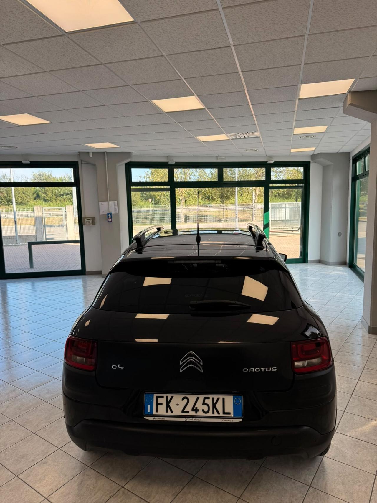 Citroen C4 Cactus BlueHDi 100 Shine