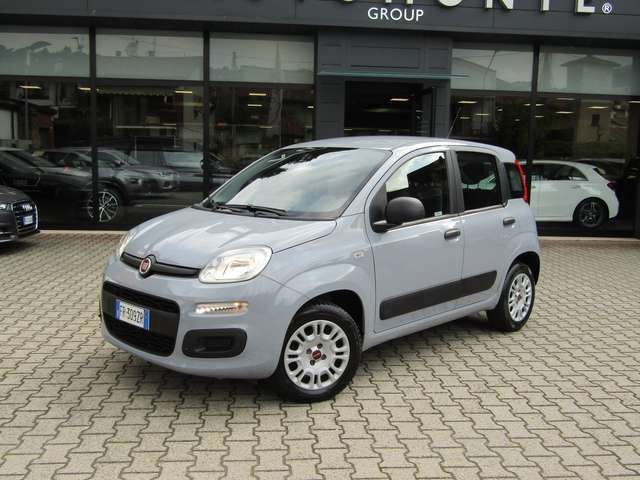 Fiat Panda 1.2 BZ NEOPATENTATI CLIMA,RADIO,KM 56.000,GARANZIA