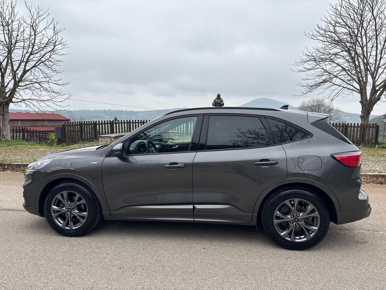 Ford Kuga 1.5 EcoBlue 120 CV aut. 2WD ST-Line