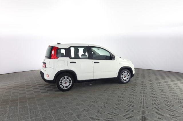 FIAT Panda Panda 1.0 FireFly S&S Hybrid