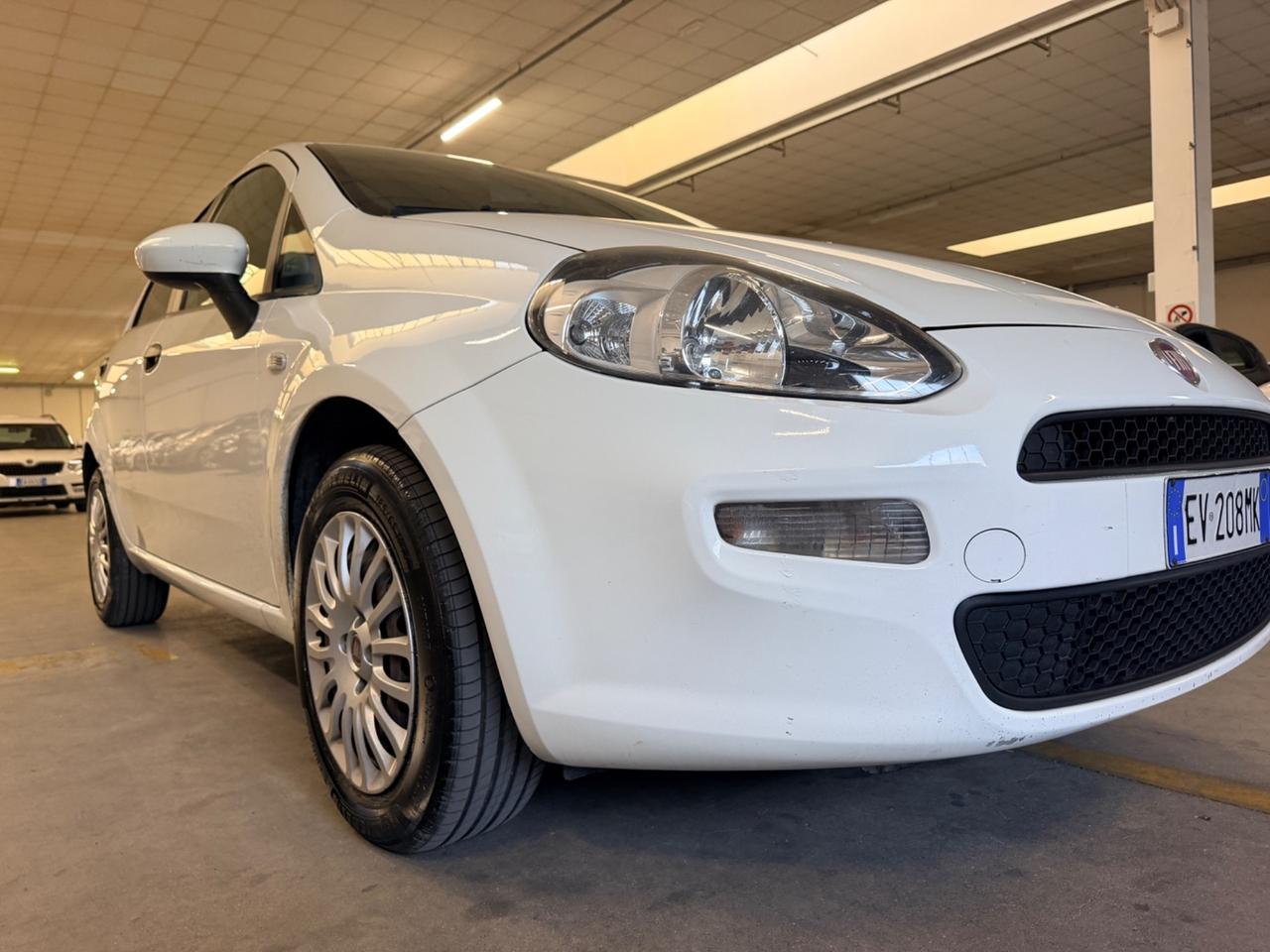 Fiat Punto 1.2 8V 5 porte Street