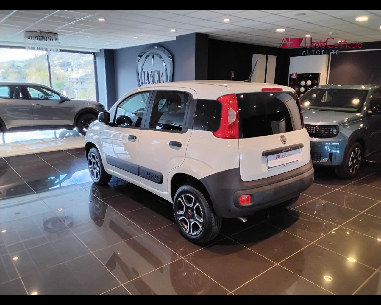 FIAT Panda 0.9 TwinAir Turbo S&S 4x4 Pop Van 2 posti