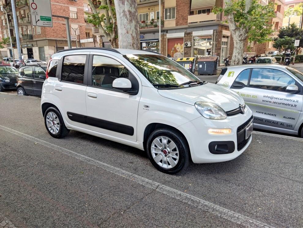 Fiat Panda 1.2 LOUNGE PREZZO VERO OK NEOPATENTATI