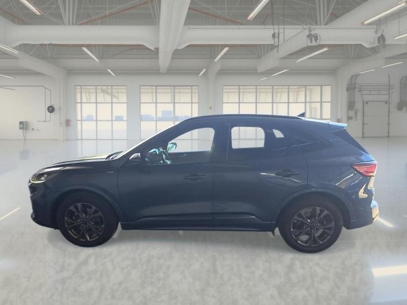 FORD KUGA 1.5 ECOBLUE 120 CV 2WD ST-LINE AUTO SUV