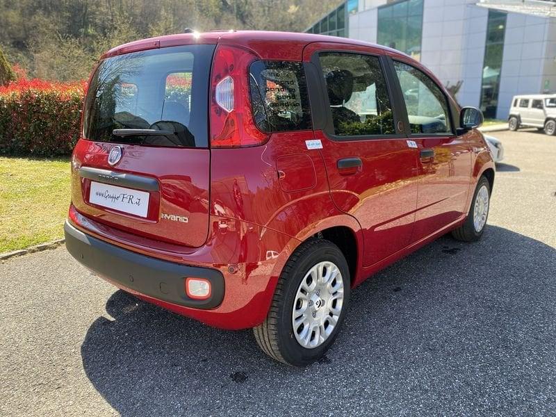 FIAT Pandina PANDA MY26 1.0 65CV HYBRID ICON