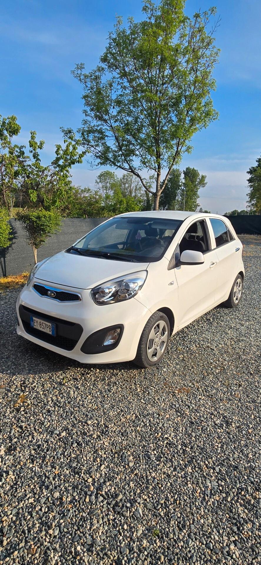 Kia Picanto 1.0 12V EcoGPL 5 porte Glam