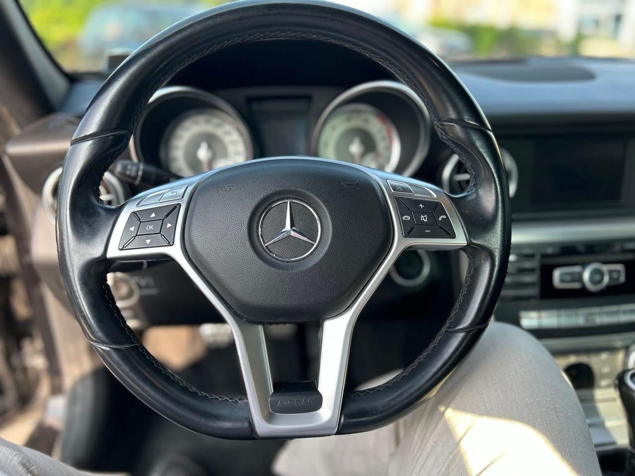 Mercedes-Benz SLK 200 Sport SLK 200 BlueEFFICIENCY #5807