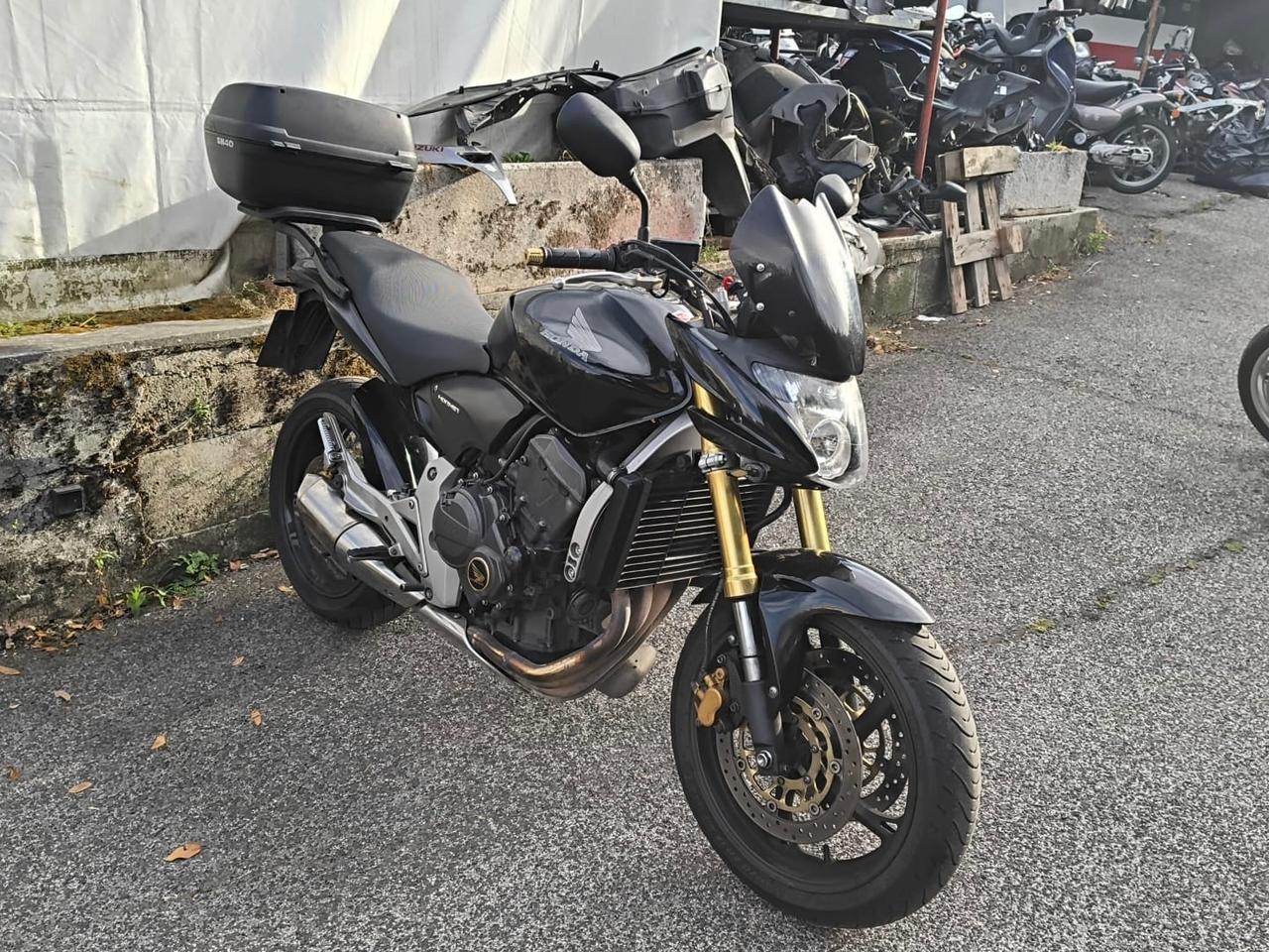 Honda Hornet 600