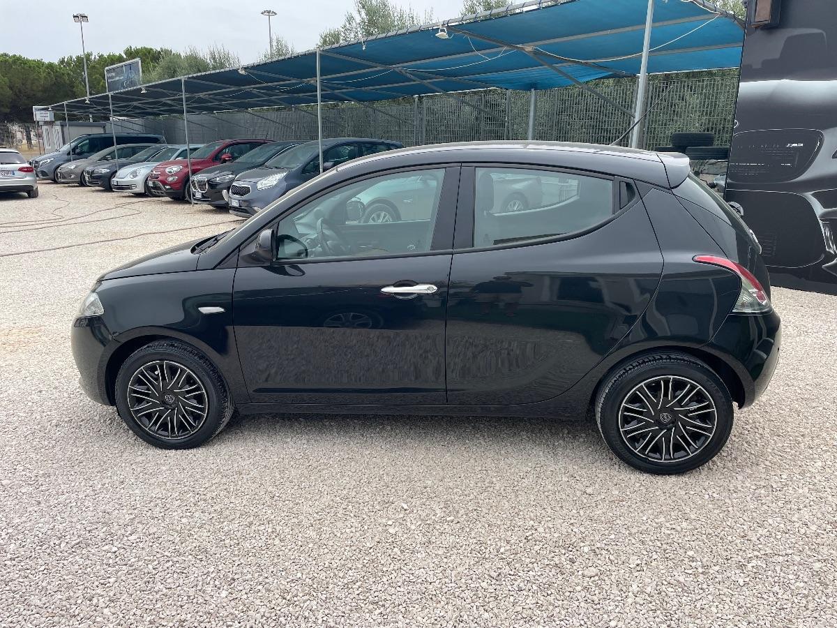 LANCIA - Ypsilon - 1.2 69 CV 5p. Gold