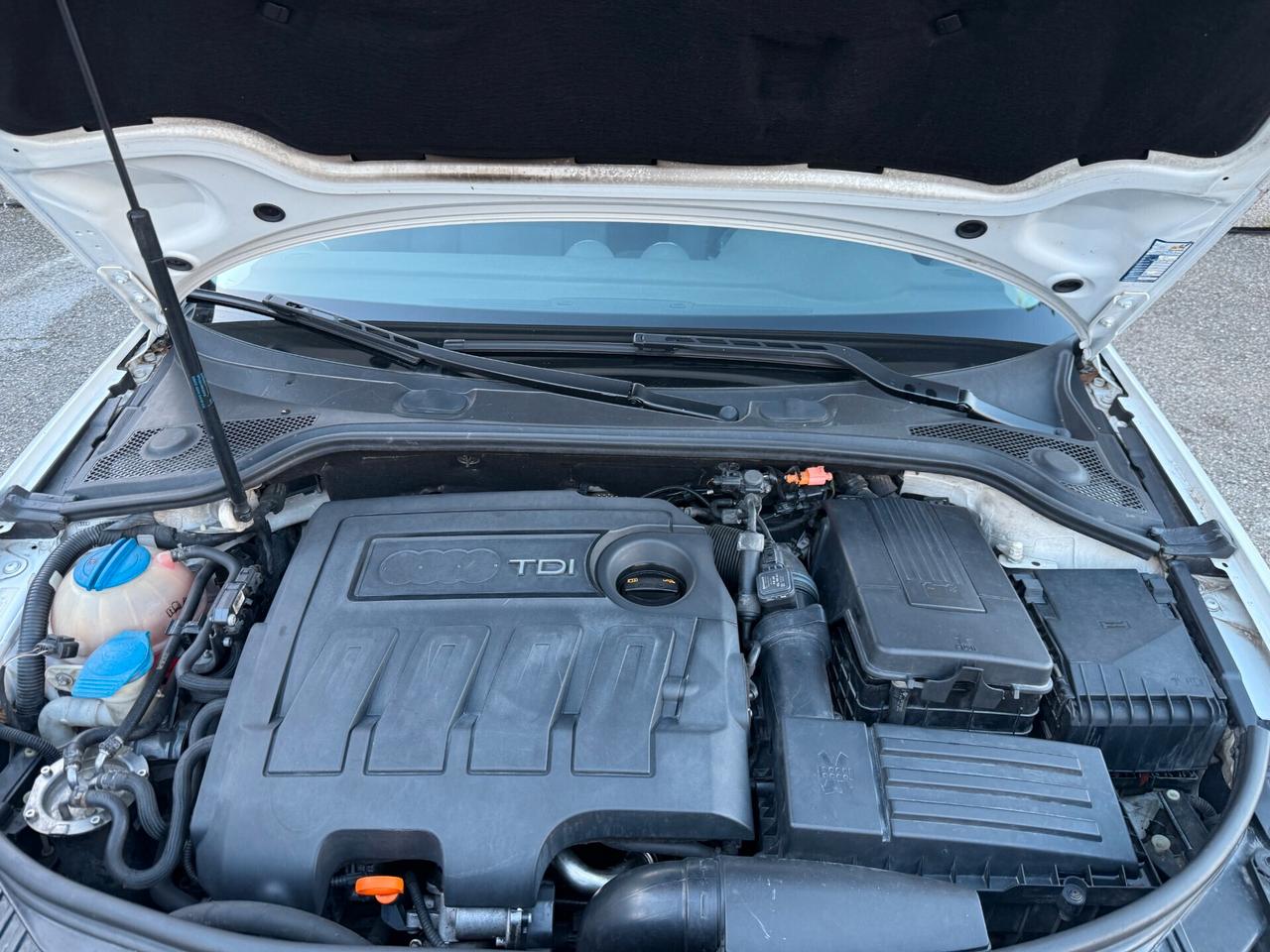 " MOTORE REVISIONATO " Audi A3 1.6 TDI 105 CV