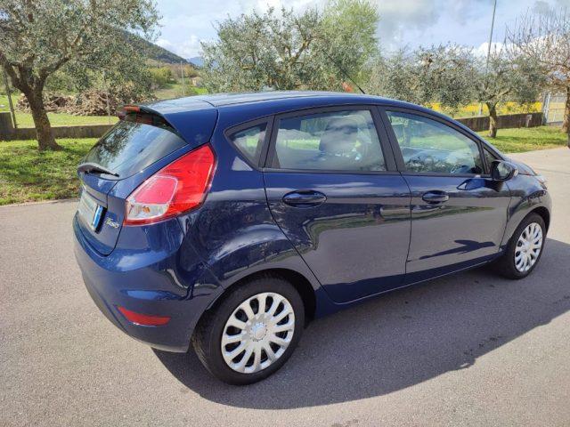 FORD Fiesta 1.6 TDCi 95CV 5 porte Business