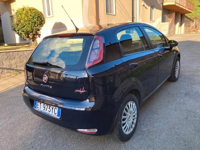 Fiat Punto 1.3 MJT II 75 CV 5 porte Street ok NEOPATENTATI