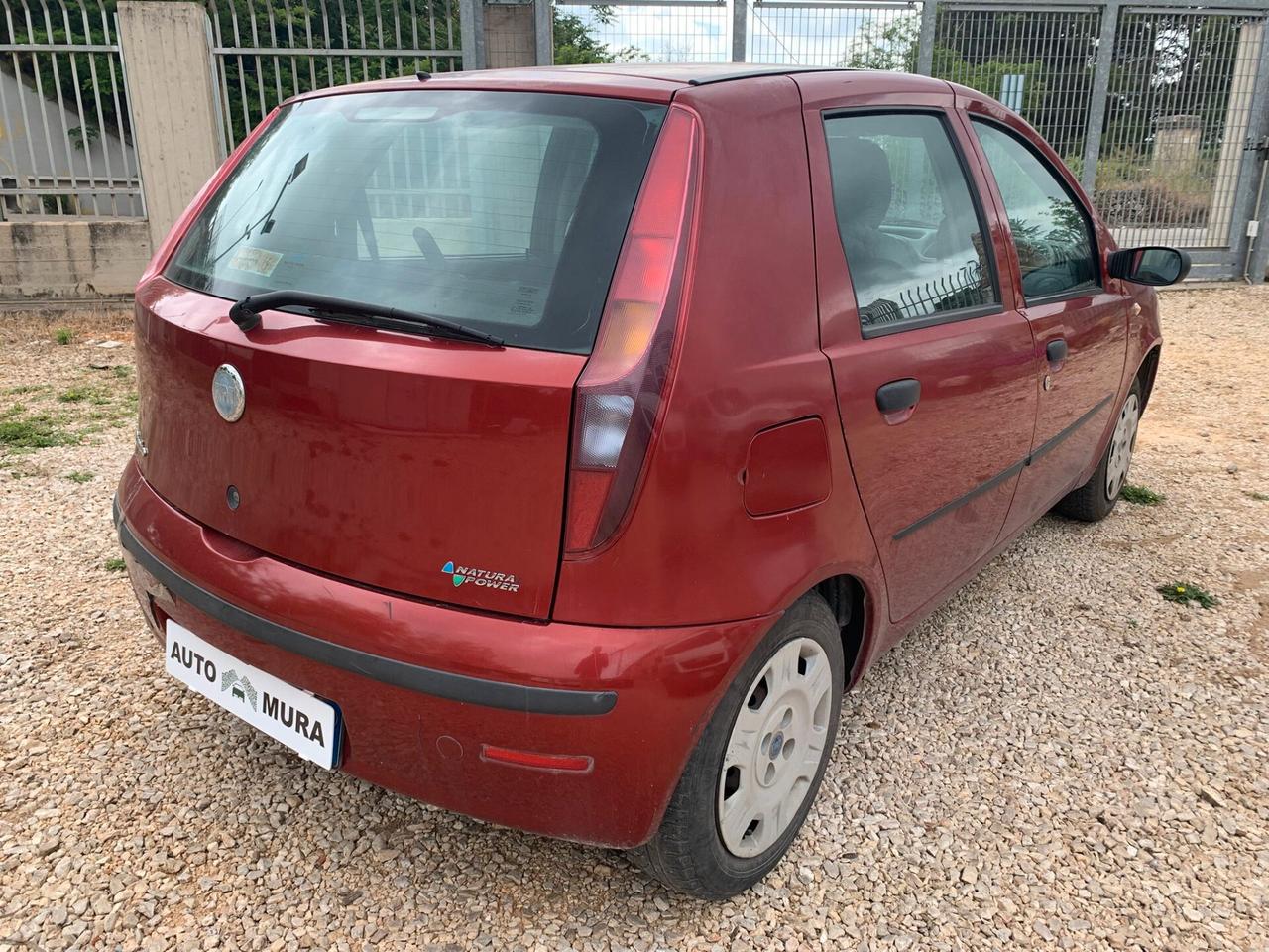 Fiat Punto 1.2 5 porte Active Natural Power