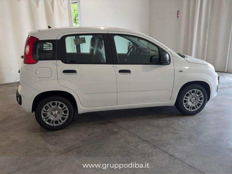 FIAT Pandina 1NA My26 1.0 65cv Hybrid Pop