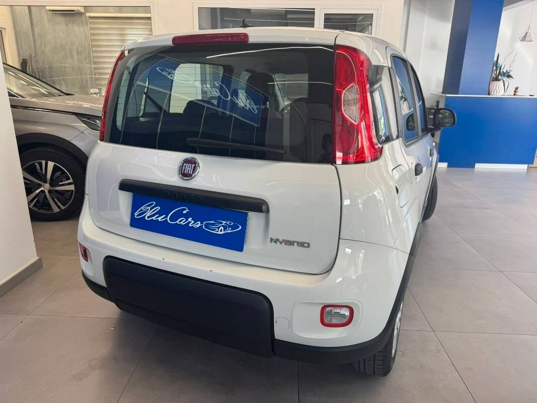 Fiat Panda III 1.0 firefly hybrid City Life s&s 70cv