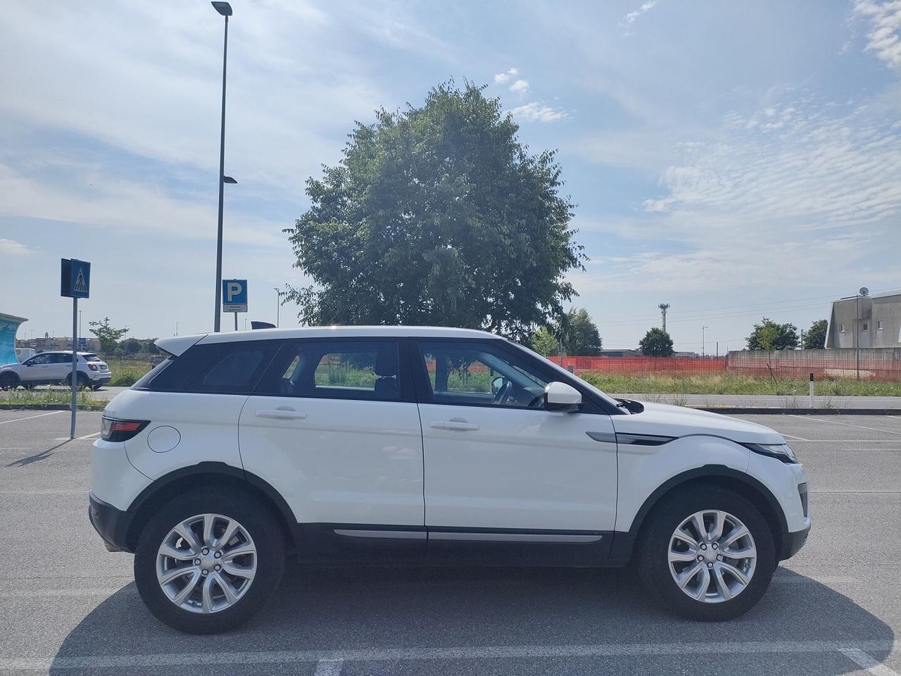 LAND ROVER Range Rover Evoque 5p 2.0 td4 Pure 150c