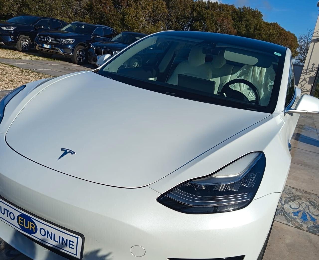 Tesla Model 3 Model 3 Standard RWD Plus