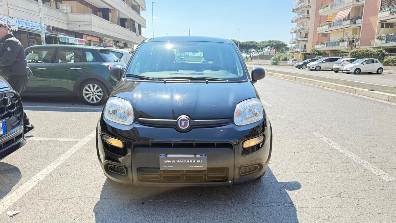 Fiat Panda 1.0 FireFly S&S Hybrid City Life LED PDC SCHERMO