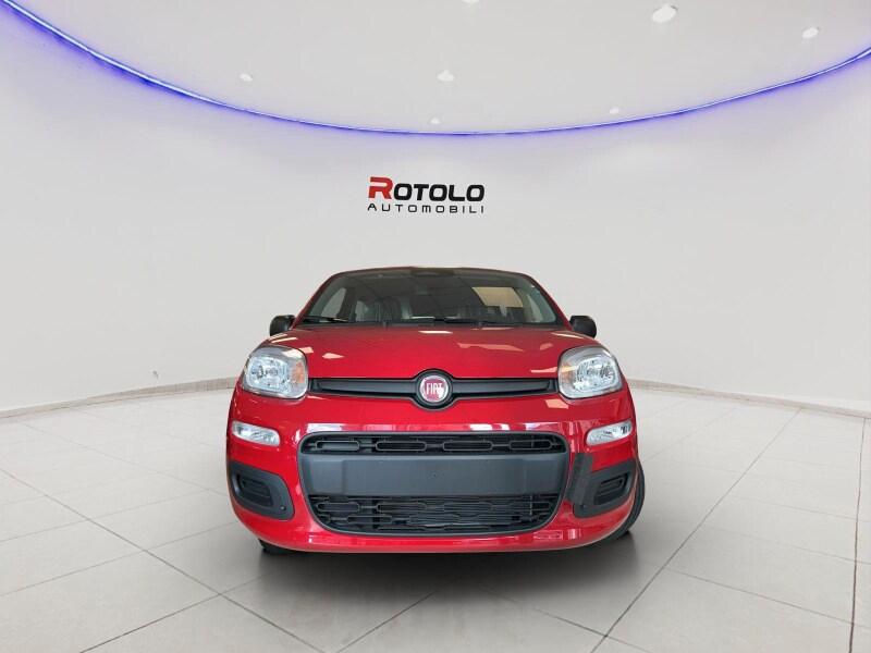 FIAT Pandina Pandina 1.0 FireFly 65 CV Hybrid Icon