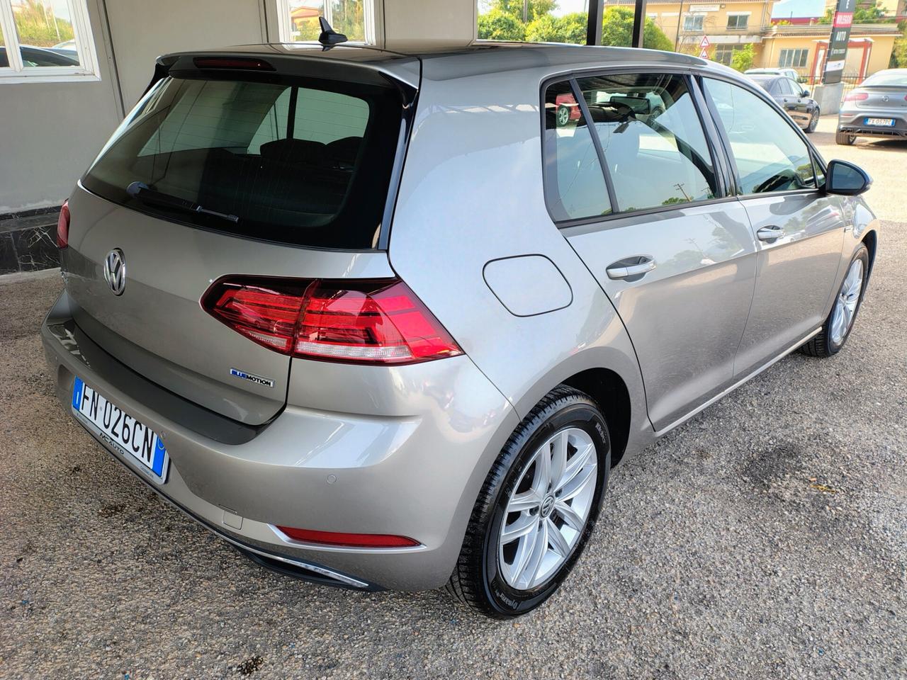 Volkswagen Golf 1.4 TGI 5p. Executive BlueMotion