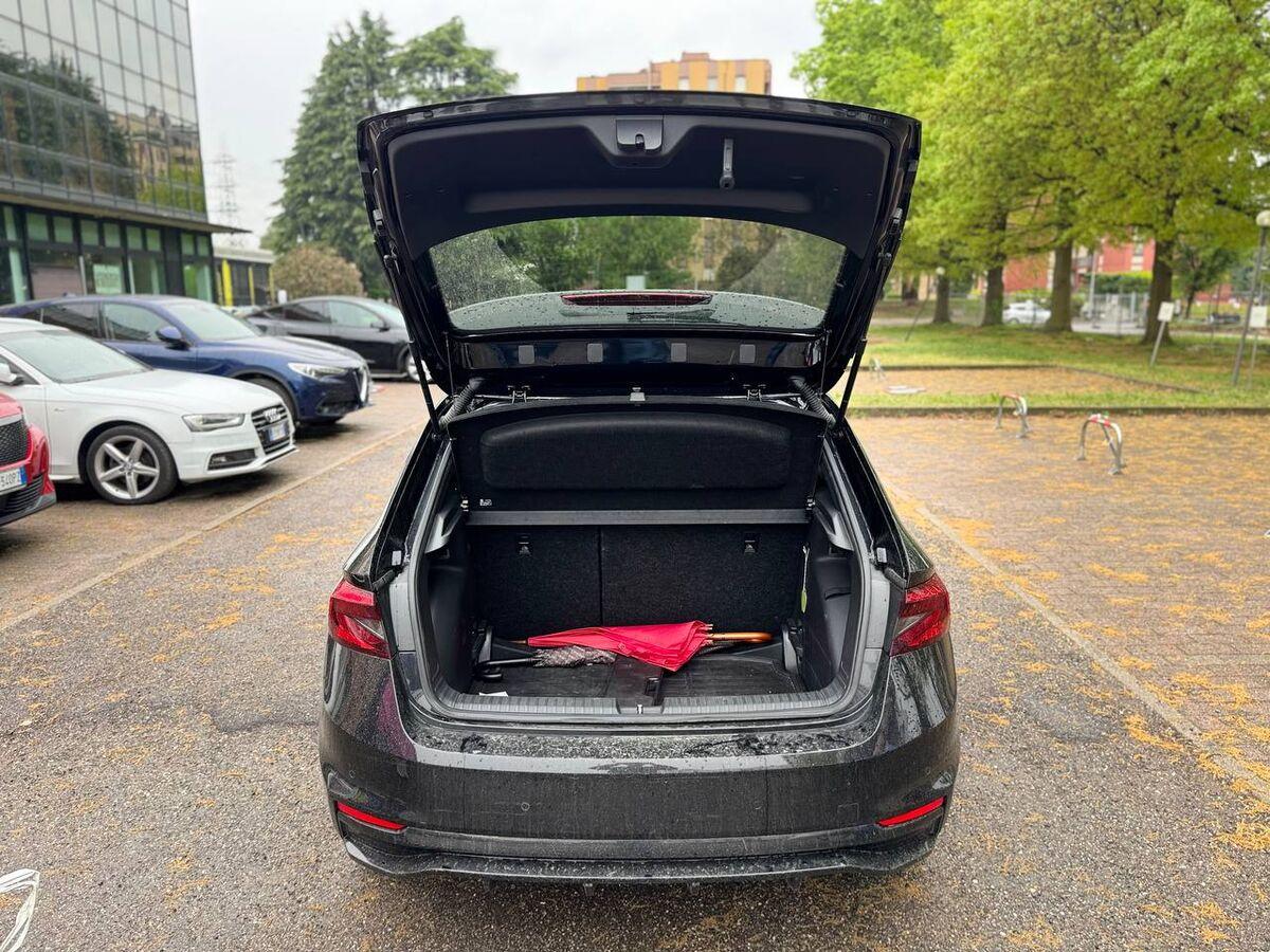 Skoda Fabia 1.0 tsi evo Monte Carlo 110cv dsg