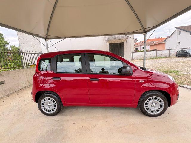 FIAT Panda 1.0 FireFly S&S IBRIDA COME NUOVA