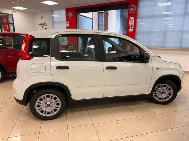 FIAT New Panda 1.0 FireFly S&S Hybrid SENZA FINANZIAMENTO