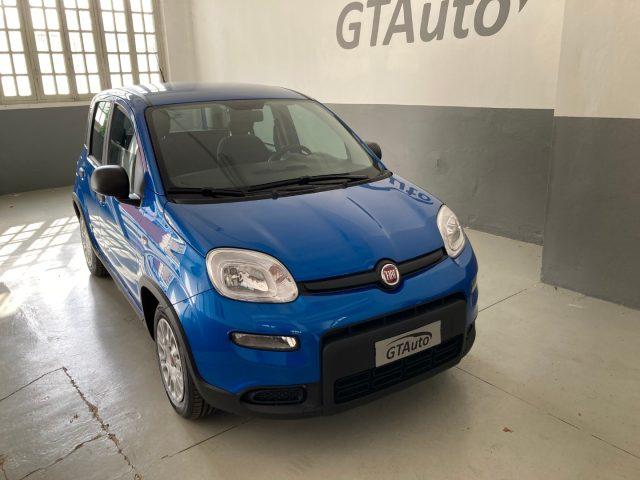 FIAT Panda 1.0 FireFly S&S Hybrid adatta ai neopatentati