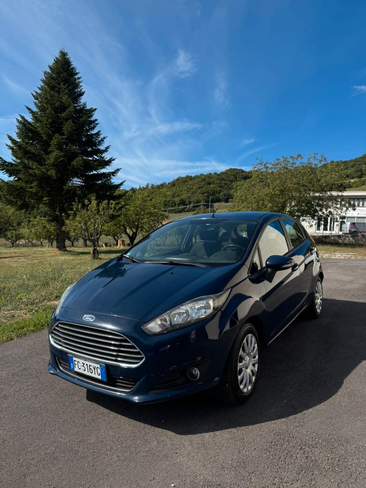 Ford Fiesta 1.5 TDCi 75CV 5 porte Business