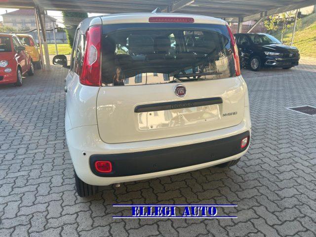 FIAT Panda 1.0 HYBRID 5 POSTI +PACK CITY KM 0