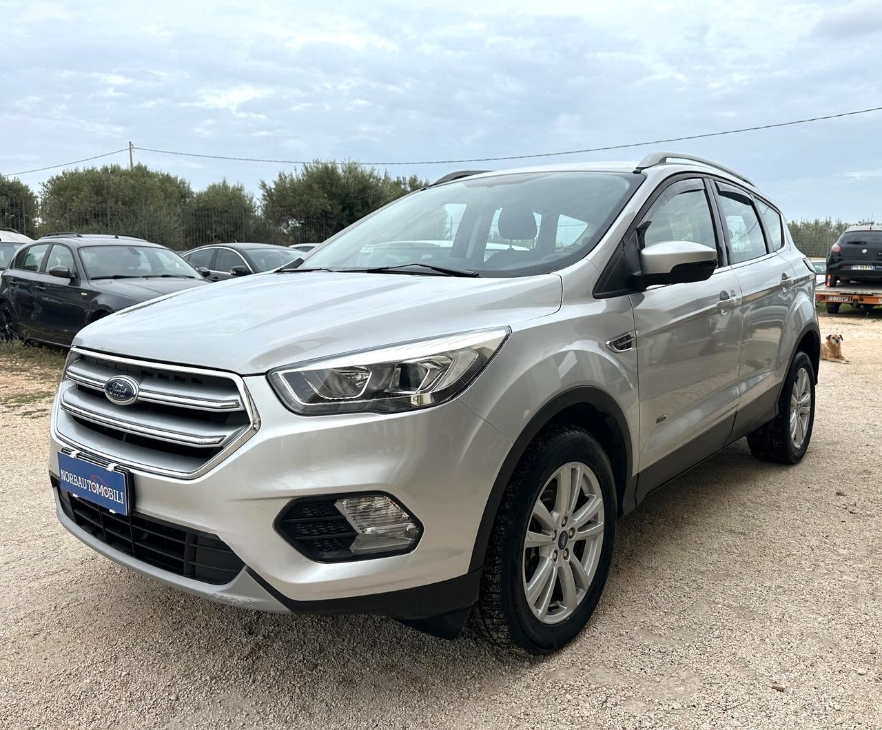 Ford Kuga 2.0 TDCI 150cv AWD Titanium 2018 Stupenda